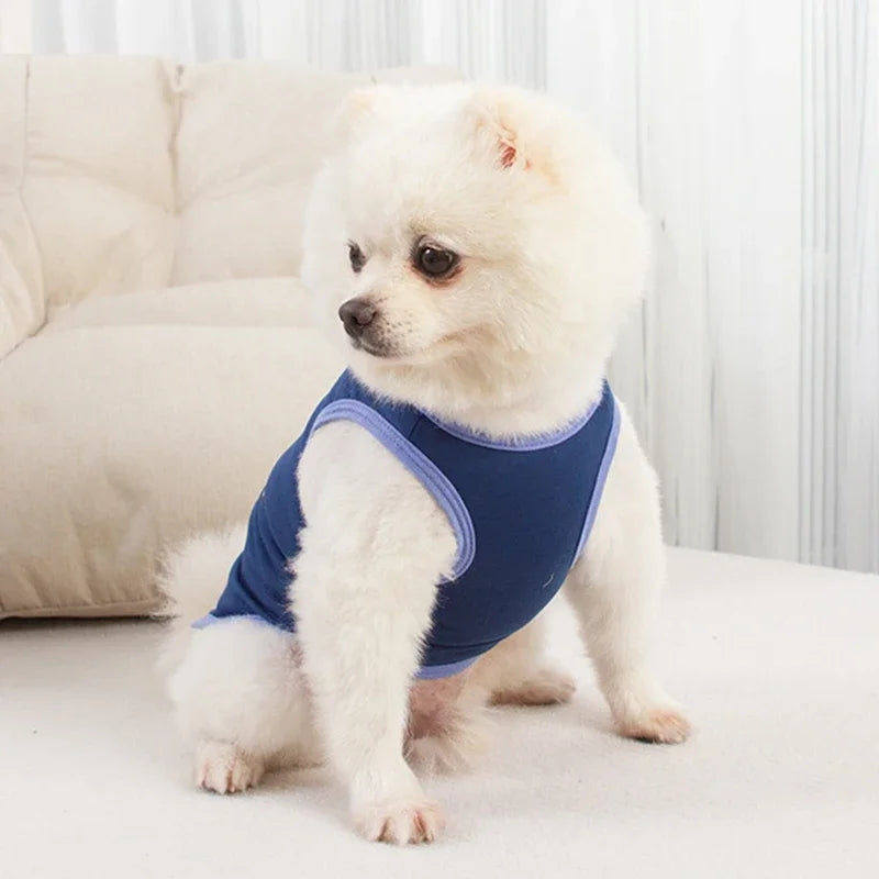 A fluffy white dog is sitting on a light surface wearing a navy blue letter print sleeveless vest.