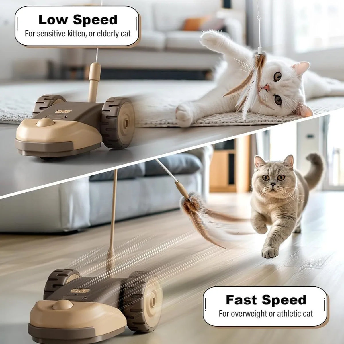 A comparison showing a low-speed and fast-speed interactive moving cat toy car for sensitive or athletic cats.