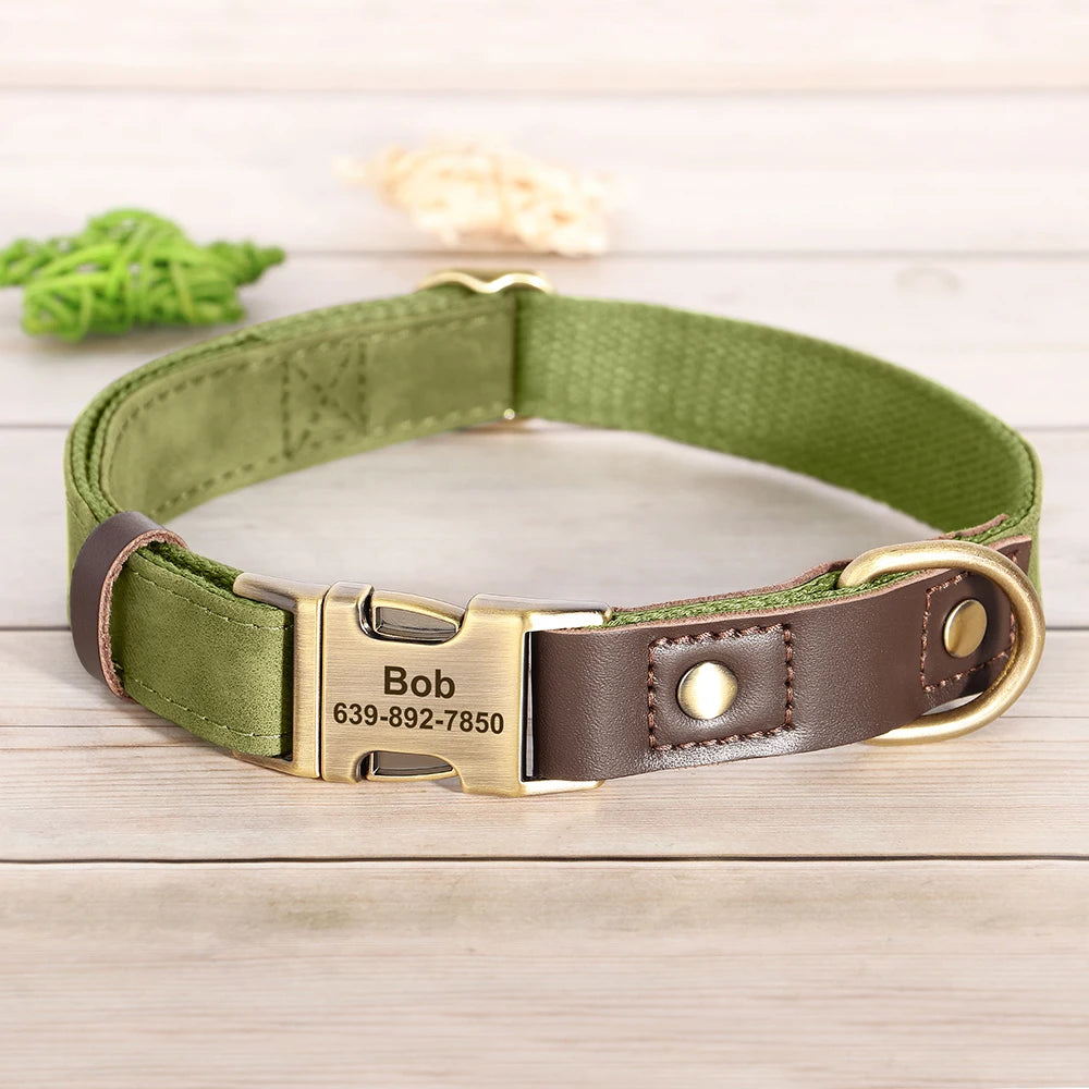 A olive green leather dog collar with a brass buckle and an ID tag engraved with Bob 639-892-7850