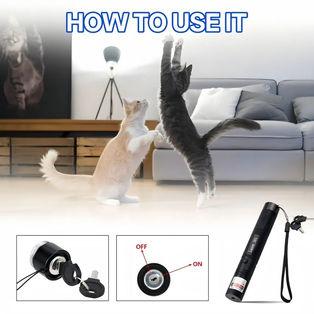 Demonstration of how to use an adjustable focus green laser pointer pen for teaching on a cat.