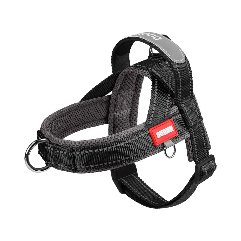 Arnés negro para perros pequeños a medianos con detalle de correa gris.