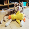 Jouet pour chien en canard à pas lourds interactif