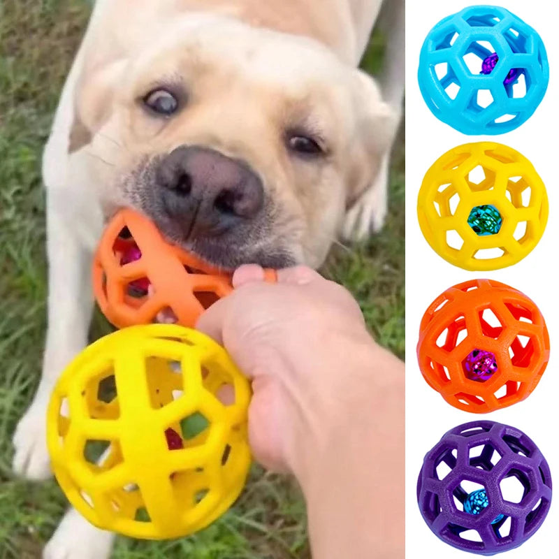 A dog is interacting with a yellow rubber chew ball, surrounded by various colored balls.