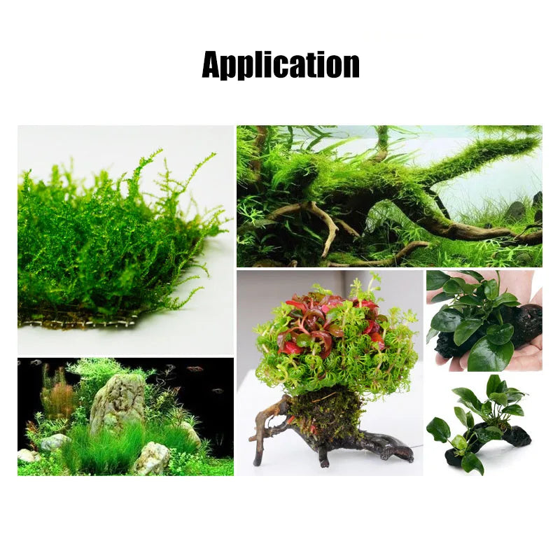 Various forms of green moss and plant material used as an application for aquariums.