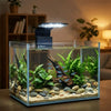 Waterproof LED Aquarium Clip Light with 3 Color Modes