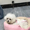 Cozy Plush Dog Bed with Soft Cotton Cover