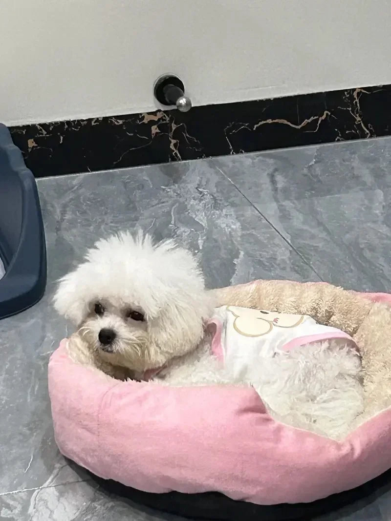 Cozy Plush Dog Bed with Soft Cotton Cover