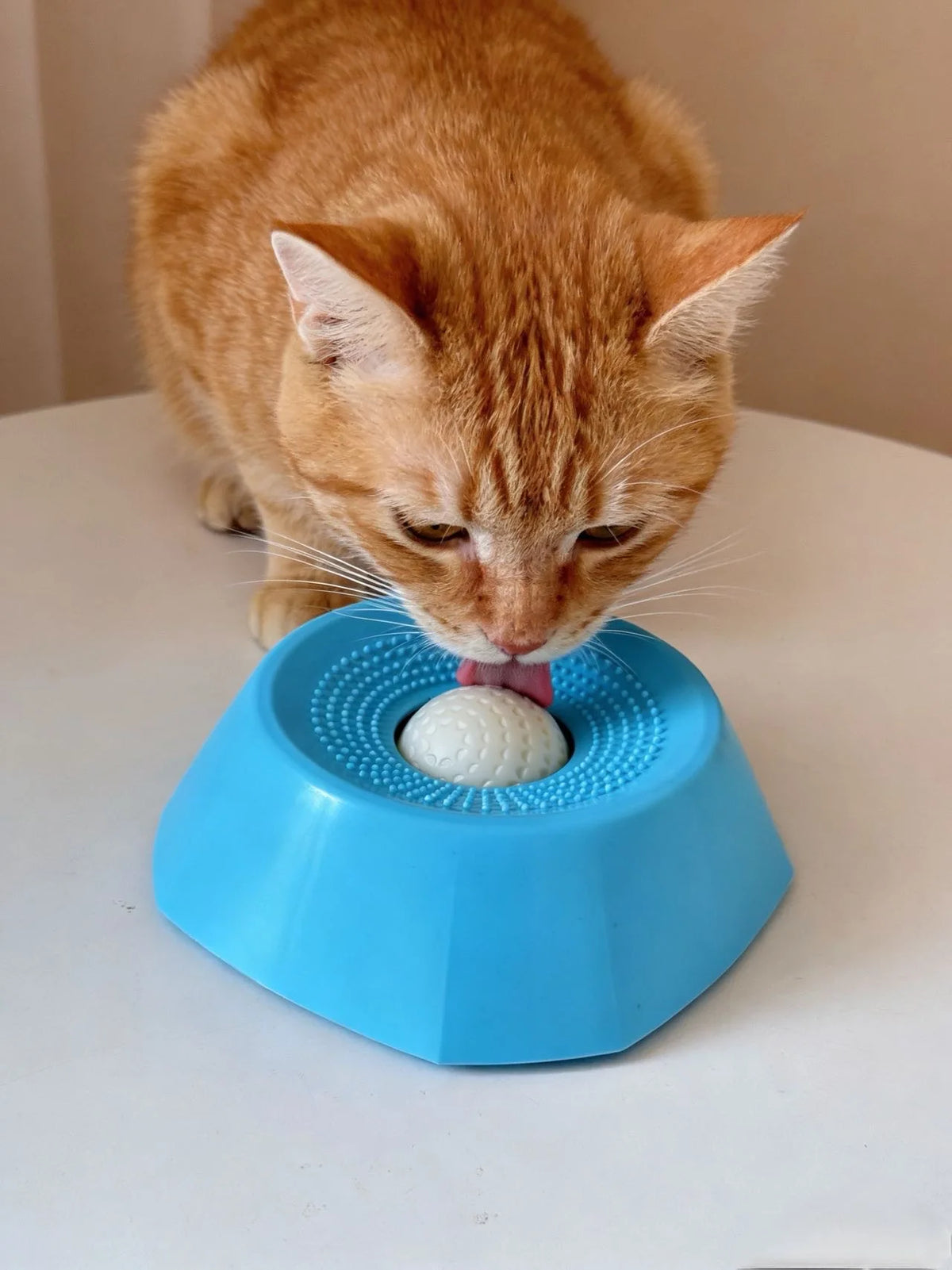 Un gato naranja lame una pelota blanca dentro de un cuenco para perros interactivo y de alimentación lenta azul.
