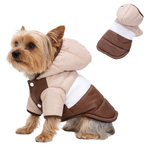 A small dog wearing a tan and brown fleece hoodie jacket with a D-ring for pets.