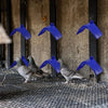 Un juego de soportes para palomas y palomas de plástico con agarres azules, mostrados contra una pared de hormigón.