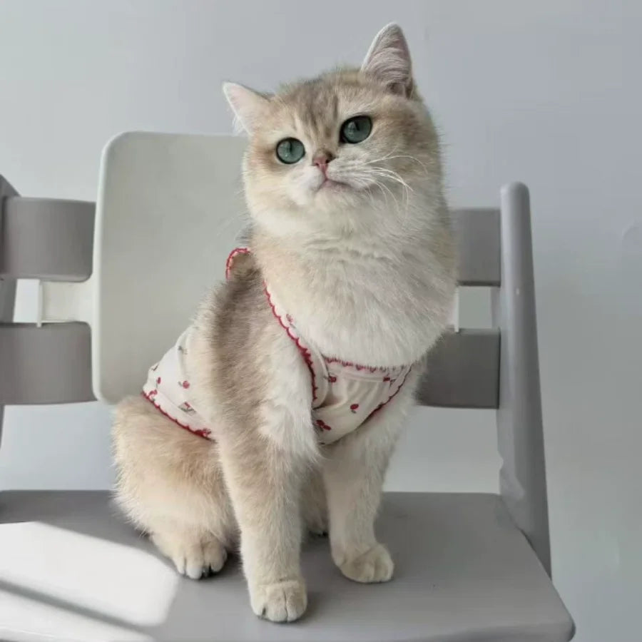 A fluffy gray cat wearing a pink cherry print pet tank top sitting on a light gray chair.