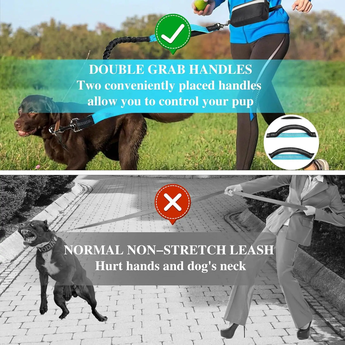 A dog is being walked with a blue leash and harness, demonstrating the double grab handles feature.