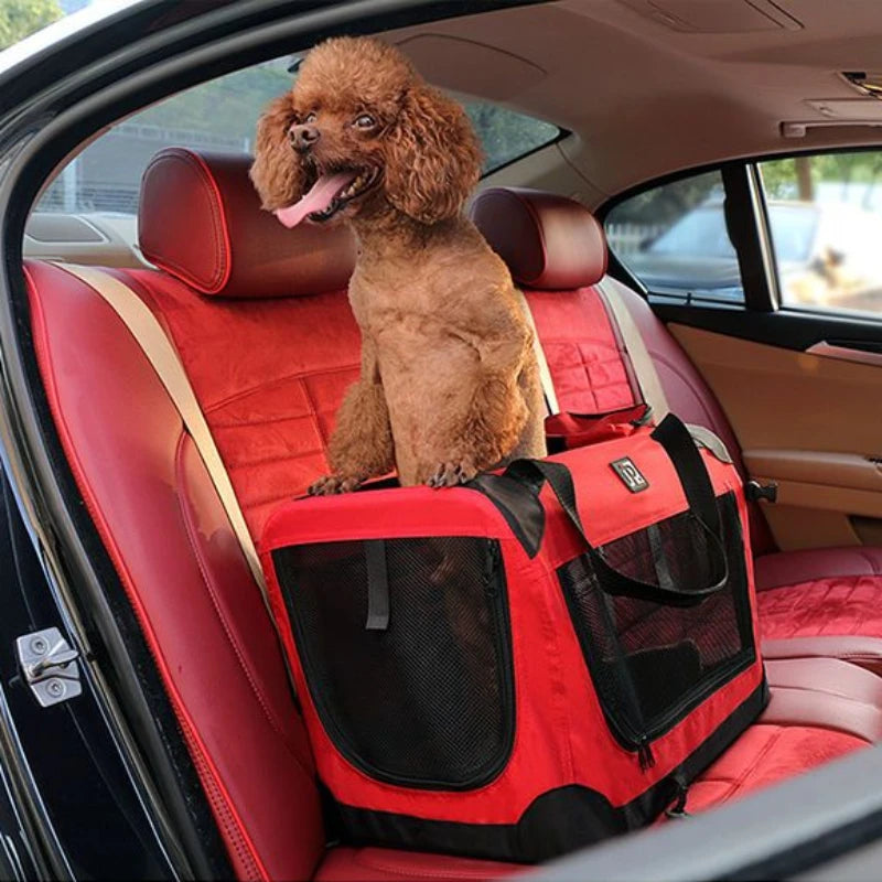 Transportín Plegable para Mascotas con Interior Acolchado