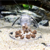 Trampa para Caracoles de Acuario - Control de Plagas Sin Químicos
