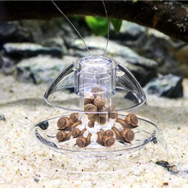 A clear glass trap for aquarium snails, containing small brown snails on a sandy substrate.
