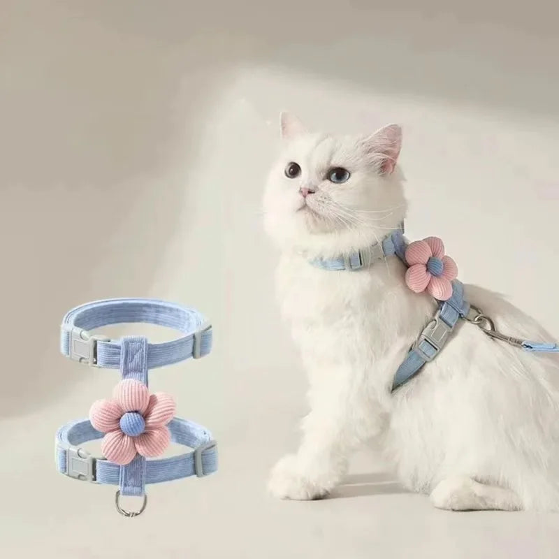 Weiße Katze mit hellblauer Netz-Halskrause und passendem Leinen.