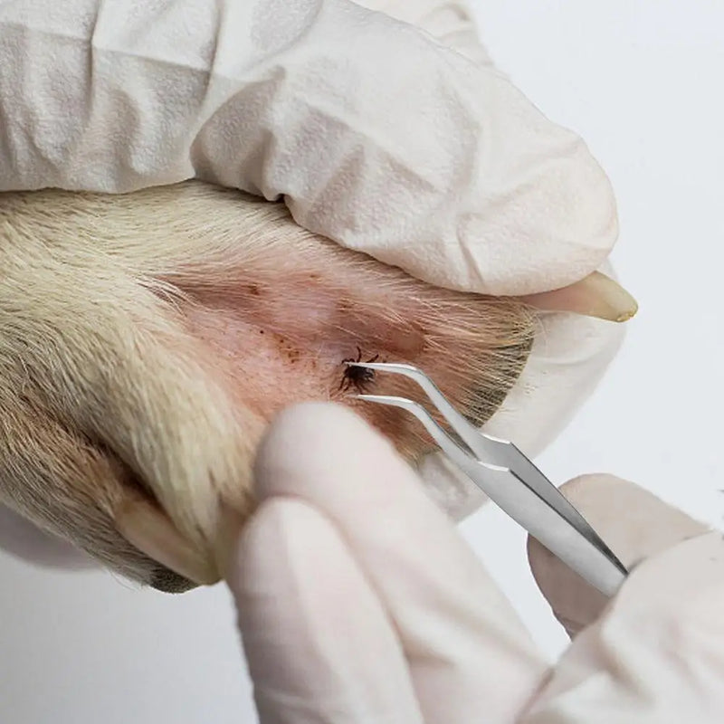 3-Piece Tick Remover Hook Set for Pets