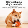 Interaktiver smarter Hundespielball