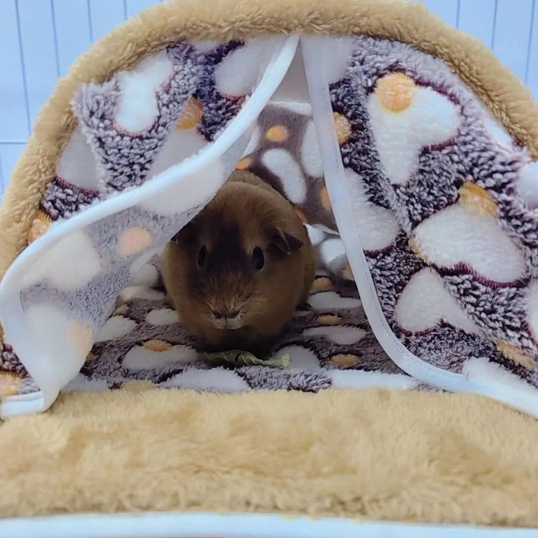 Un pequeño conejo marrón visible dentro de una acogedora hamaca de algodón para mascotas con forro estampado.
