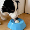 Un perro en blanco y negro interactuando con un cuenco de alimentación lenta azul que contiene una pelota blanca sobre un sue