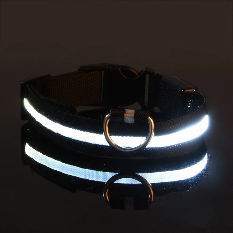 LED-Sicherheits-Hundeleine und Halsband-Set