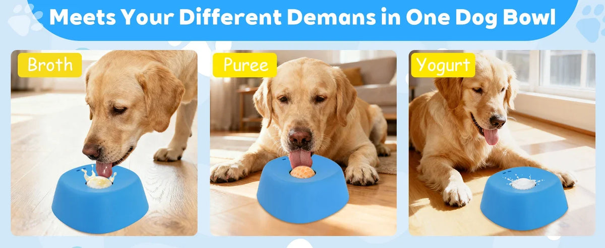 Three dog bowls in blue and yellow featuring broth, puree, and yogurt for liquid treats.