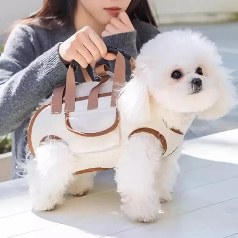A fluffy white dog wearing a brown and white portable pet carrier sling bag, held by a person.