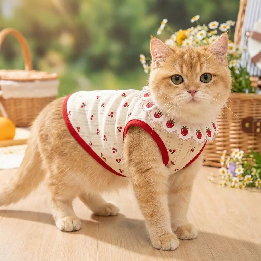 Ruffled Collar Cat Strawberry Vest with Cherry Pattern