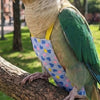 Breathable Parrot Flight Suit with Poop Pocket