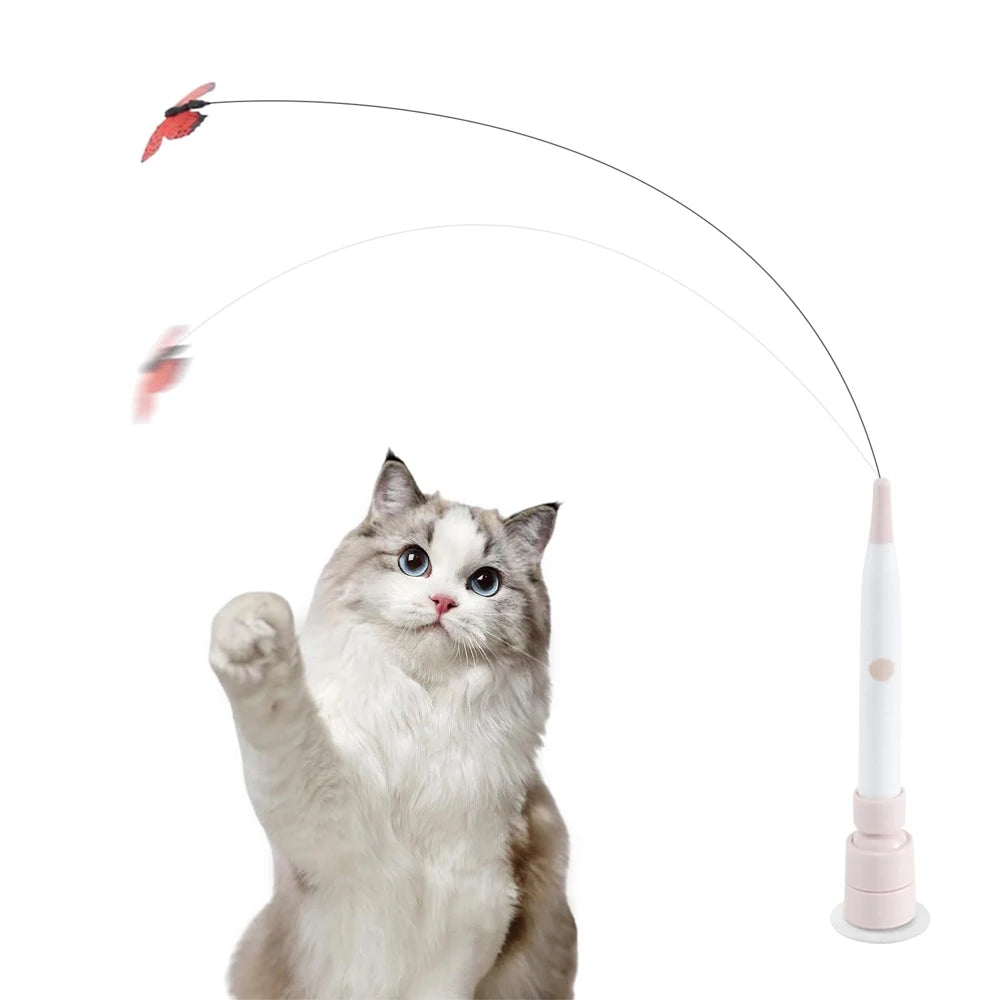 A fluffy gray cat looks up as an electric rotating butterfly toy is suspended above it by a thin wire.