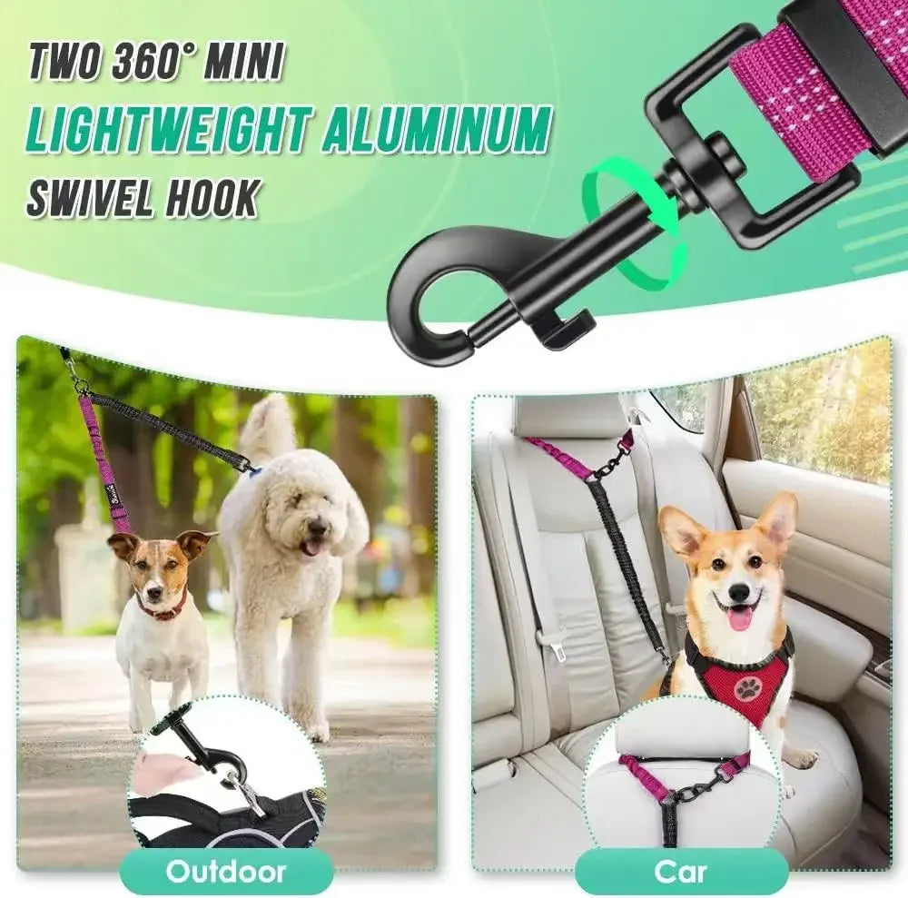 Dual Dog Leash with Shock-Absorbing Bungee (16 ft)
