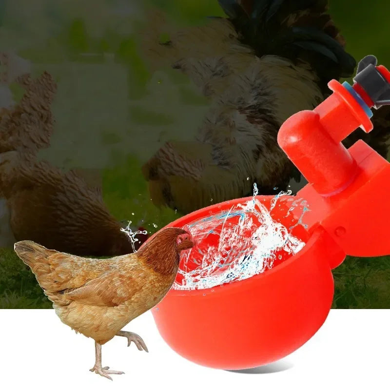 Automatischer Tränkenapf für Geflügel