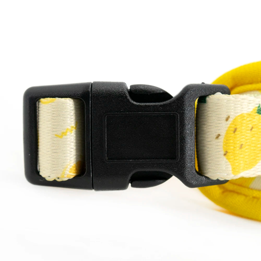 Black adjustable dog collar with a yellow lemon print fabric and soft padding.