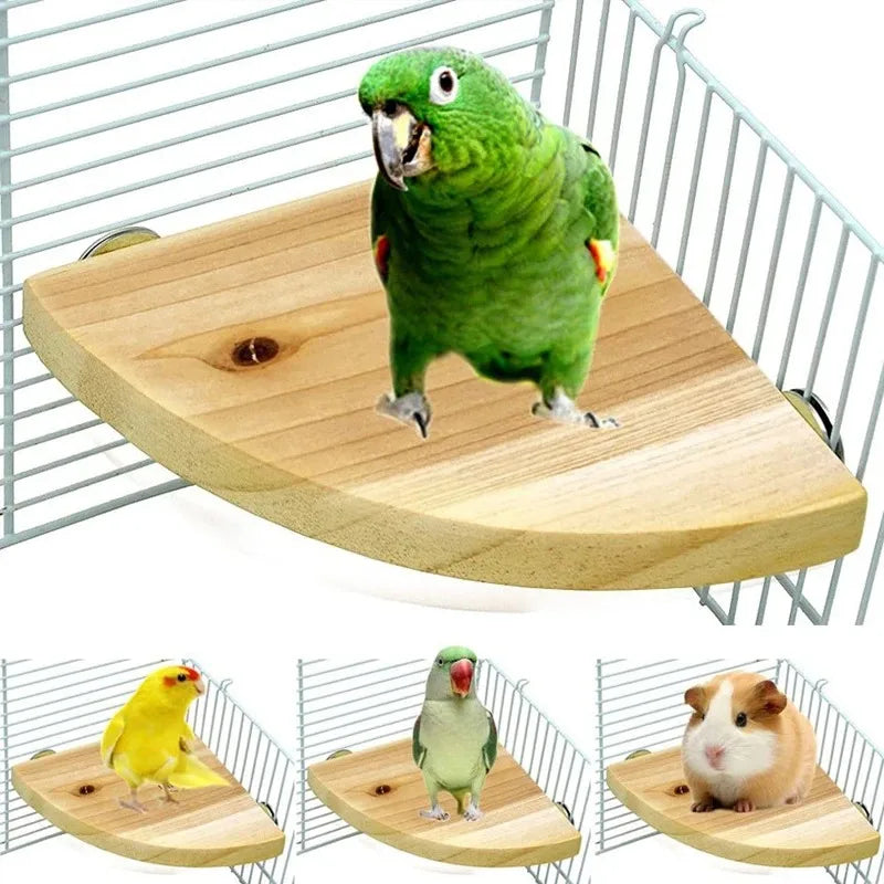 A green parrot perched on a natural wood perch stand, shown in various angles.