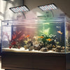 A glass aquarium display featuring tropical fish and aquatic plants illuminated by a full spectrum LED grow light.