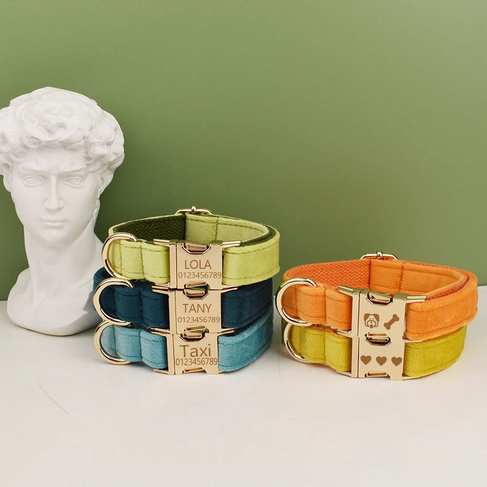 A set of three luxury velvet adjustable dog collars in green, blue, and orange with matching buckles displayed against a gree