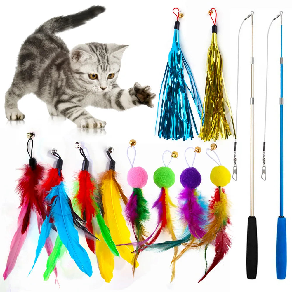 A set of 12 feather cat wand toys and refills featuring various colors like blue, yellow, green, pink, and purple.