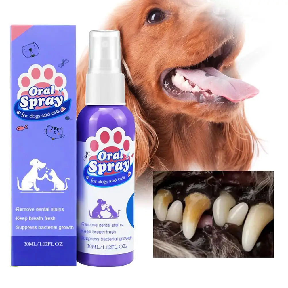 Lila Mundsprayflasche für Hunde und Katzen neben einem Golden Retriever, mit dentalen Zähnen darunter.