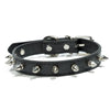 Studded PU Leather Dog Collar with Metal Accents