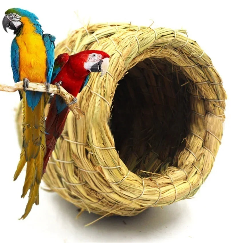A red parrot sits on a handwoven straw bird nest.
