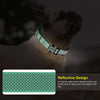 A dog wearing a green reflective martingale collar with an engraved metal buckle.
