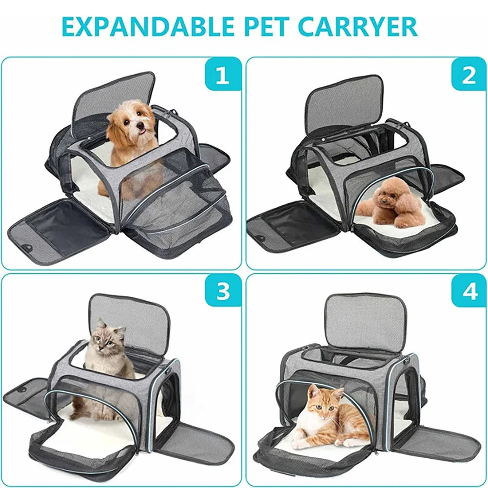 Expandable pet carrier backpack shown in four configurations with dogs and cats