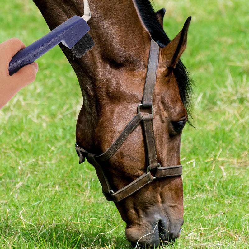 Pioche et Brosse pour Sabots de Cheval Ergonomique
