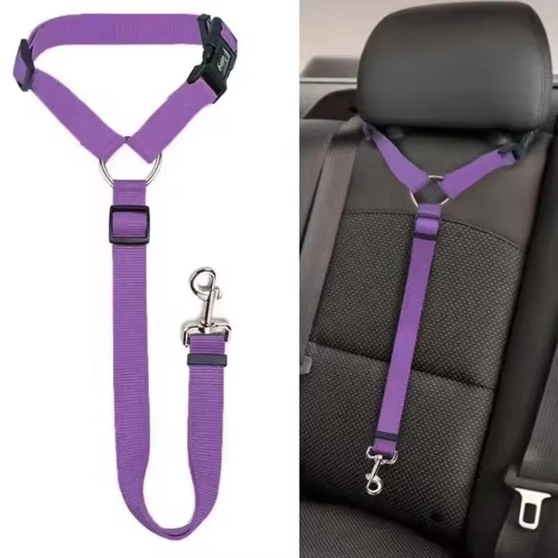 Purple 2-in-1 adjustable car safety belt and leash for a small dog