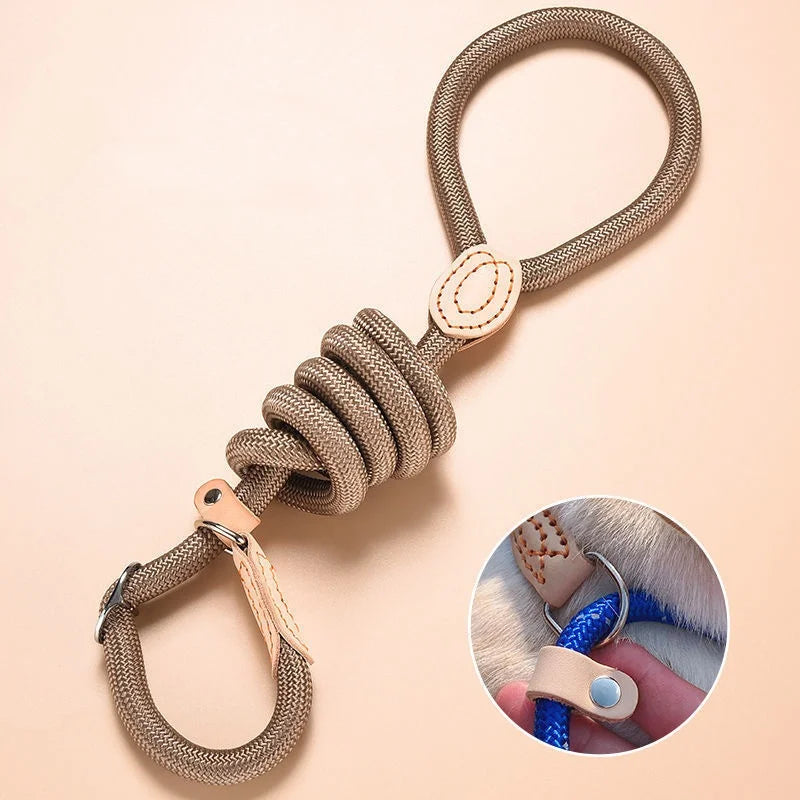 Robbe, verstellbare Nylon-Hundeleine