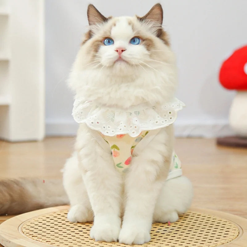 Lace Collar Dog Vest with D-Ring Summer Pet Shirt