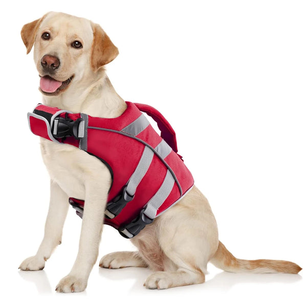 A light-colored dog wearing a red and gray reflective life jacket.