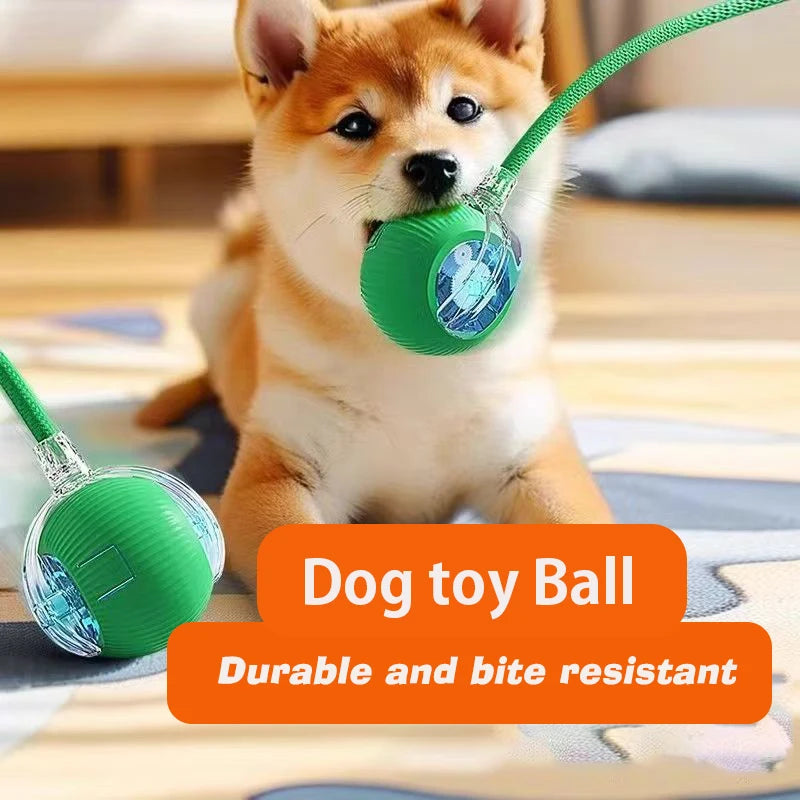 Smart Interactive Dog Ball Toy