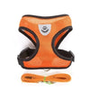 Verstellbares Mesh-Hundegeschirr und Leinen-Set