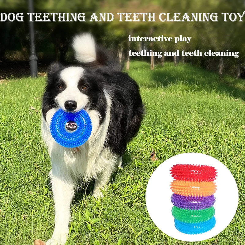 Bite-Resistant Squeaky Dog Chew Toy with Spiky Teething Ring